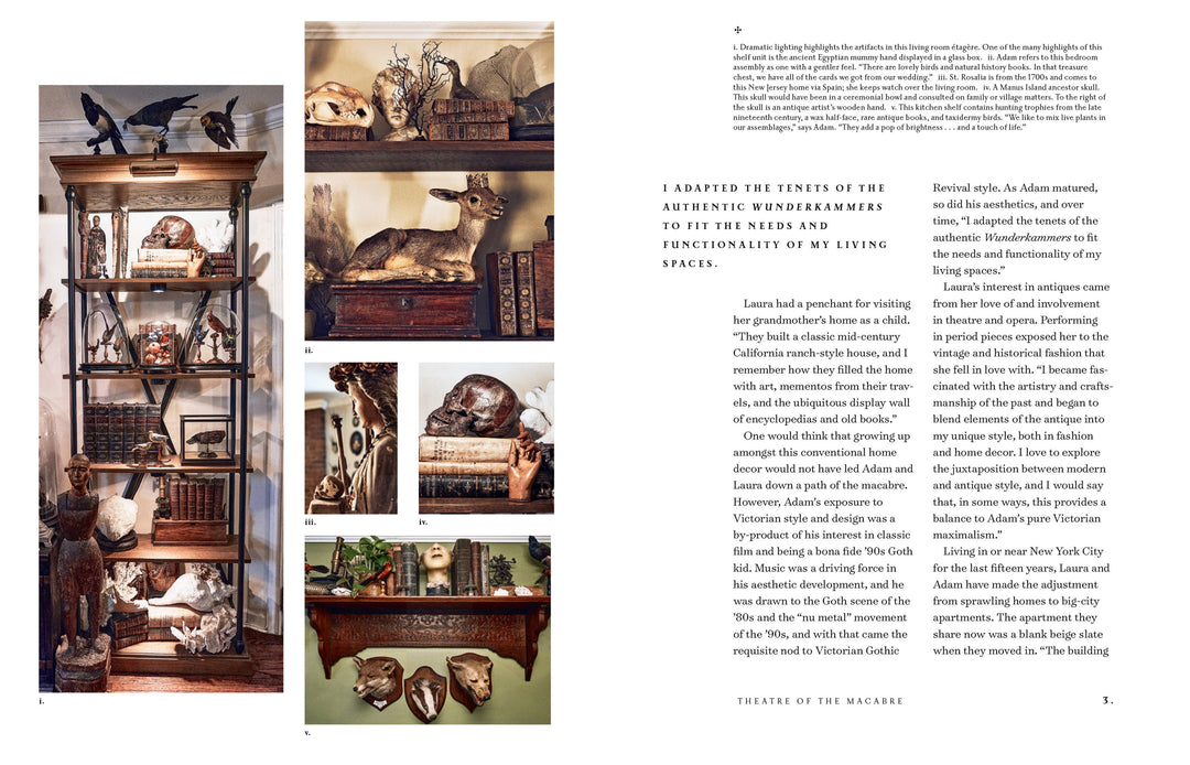 Union Square & Co. - The Art of Gothic Living: Dark Decor for the Modern Macabre
