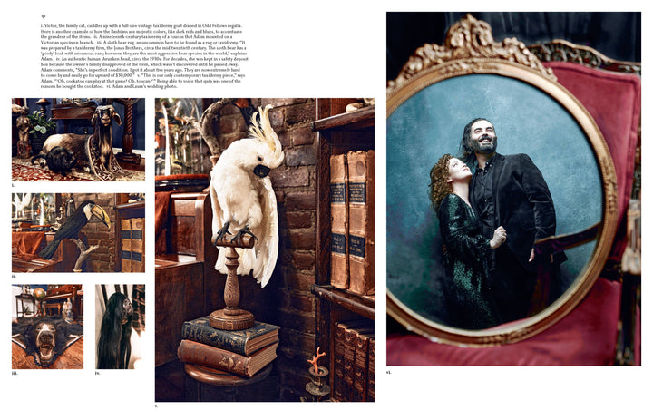 Union Square & Co. - The Art of Gothic Living: Dark Decor for the Modern Macabre