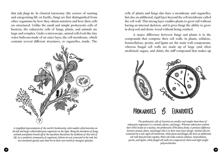 Microcosm Publishing & Distribution - Mycocultural Revolution: Transforming Our World with Fungi
