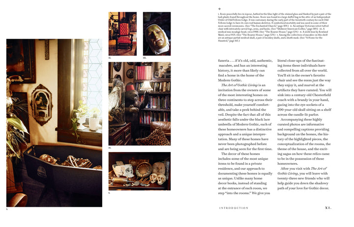 Union Square & Co. - The Art of Gothic Living: Dark Decor for the Modern Macabre