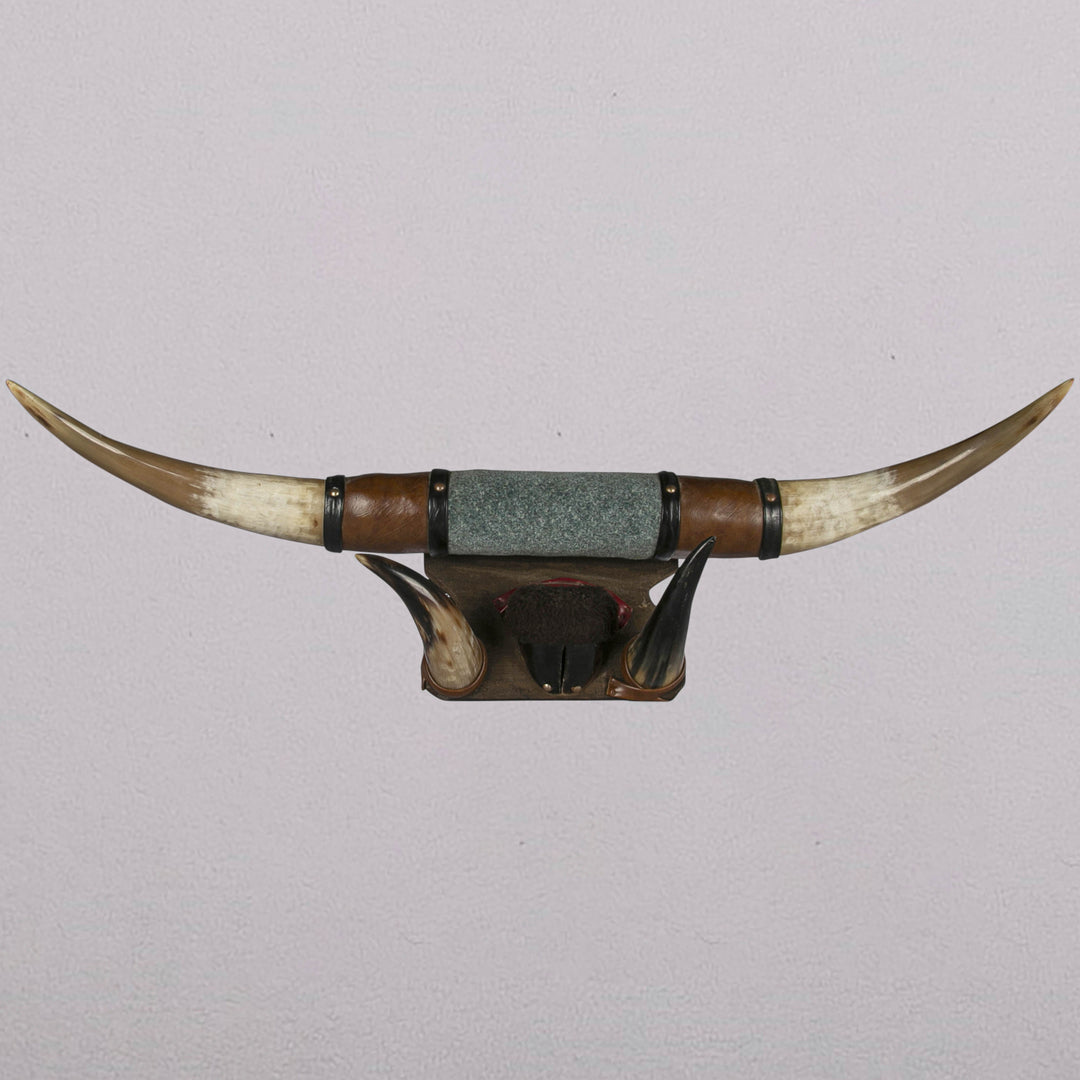 Bull Horn Set