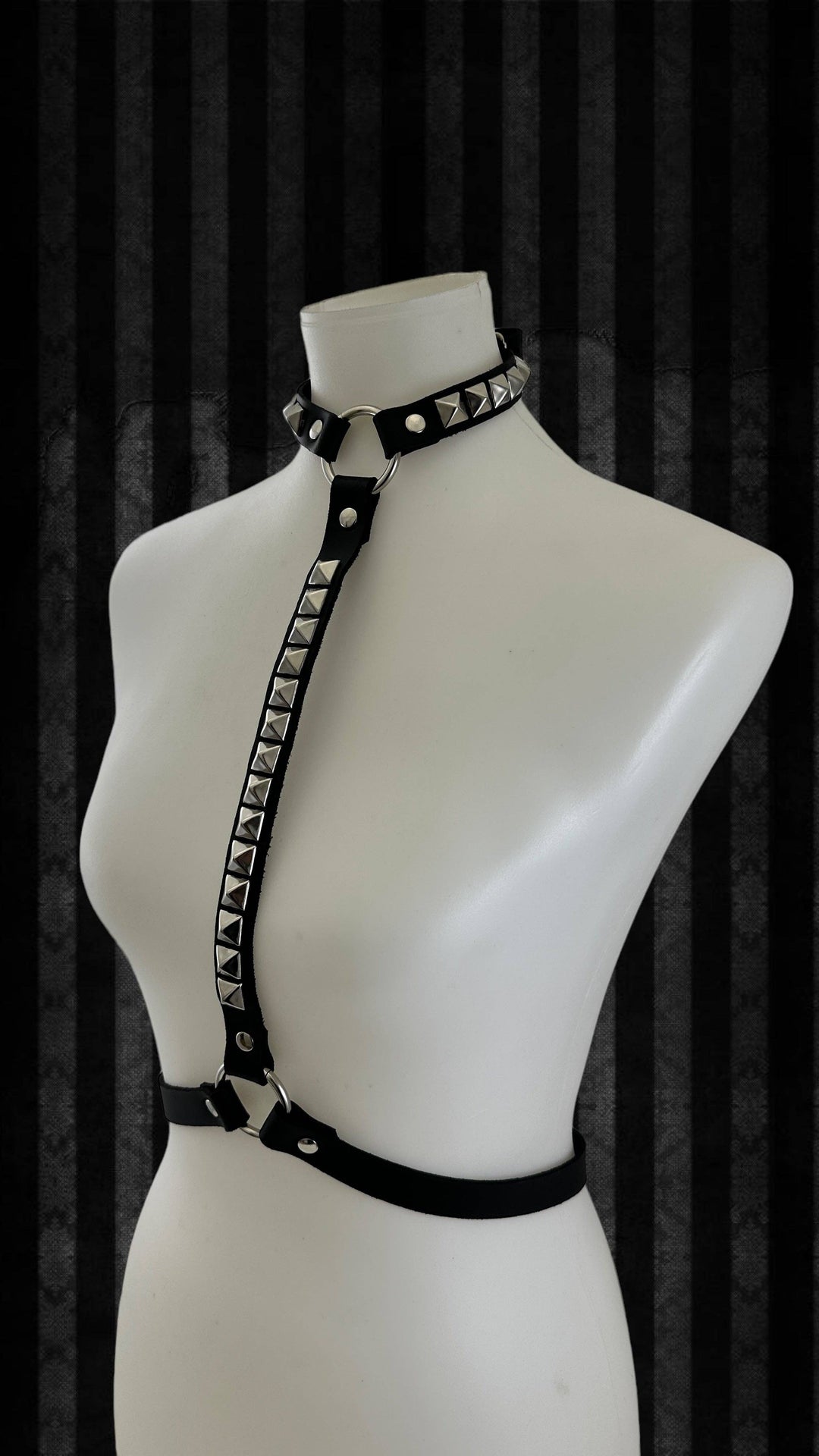 Funk Plus - H166 
STUDDED HARNESS: S-M