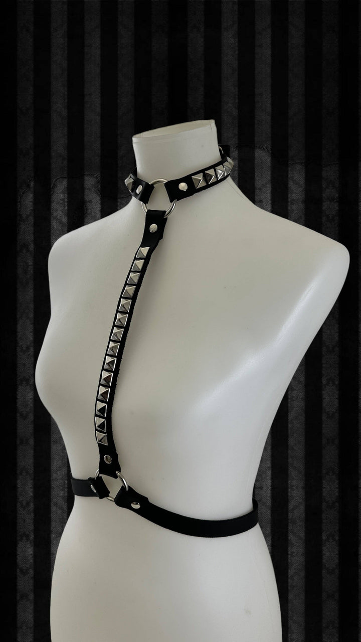Funk Plus - H166 
STUDDED HARNESS: S-M