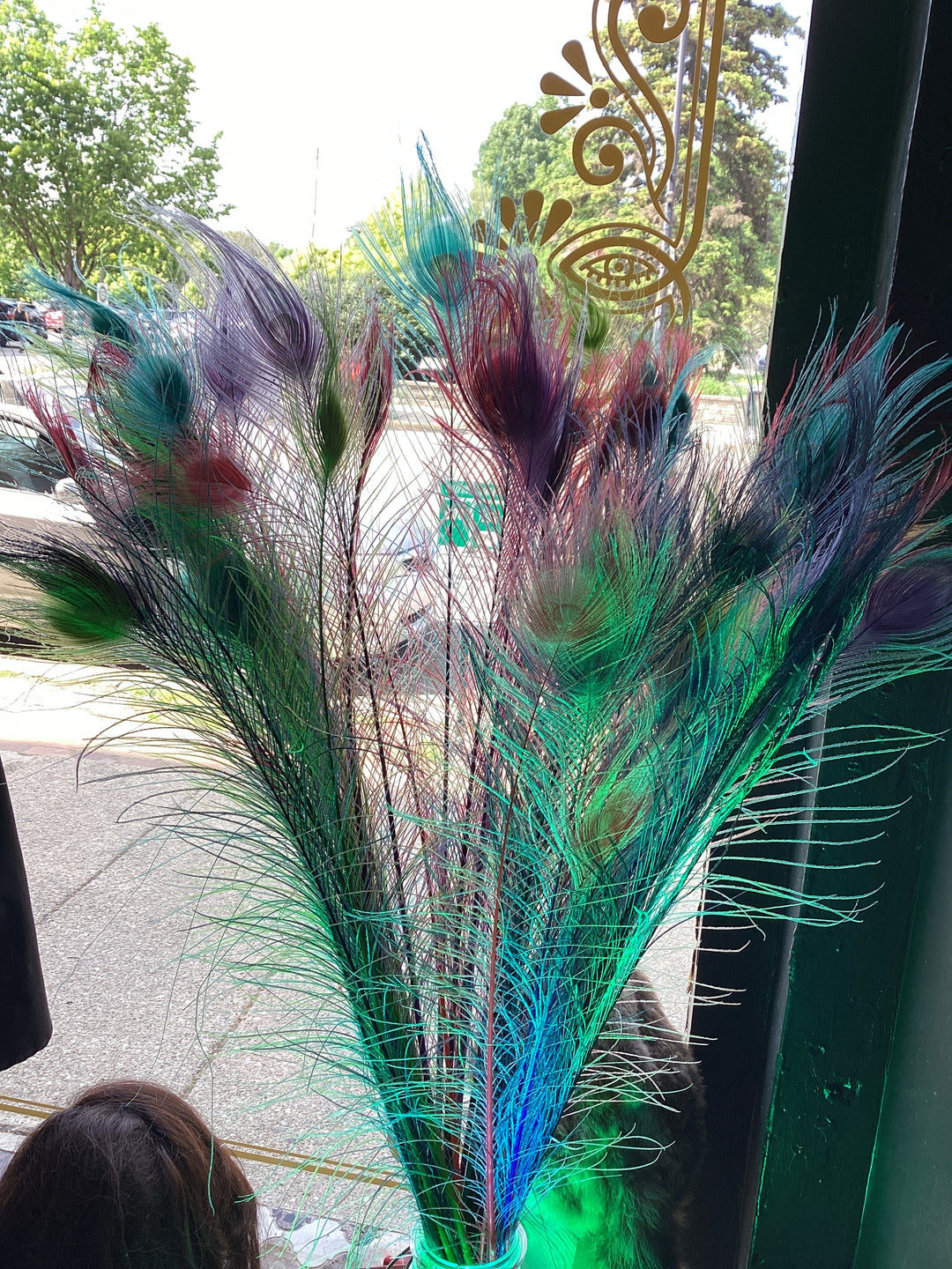 Colorful Feathers