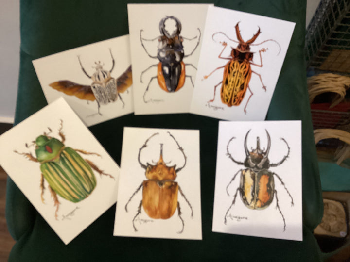 Keith McGuire Insect Prints (Small)