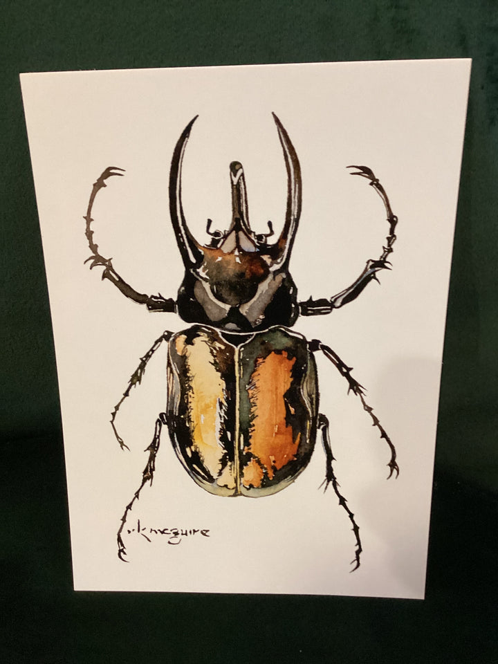 Keith McGuire Insect Prints (Large)
