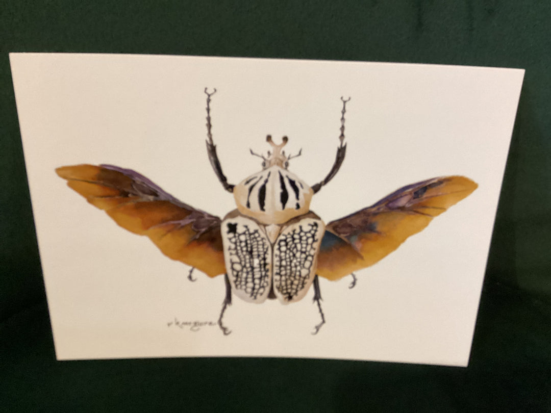 Keith McGuire Insect Prints (Small)