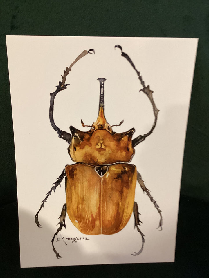 Keith McGuire Insect Prints (Small)