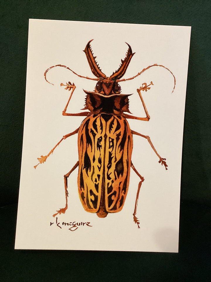 Keith McGuire Insect Prints (Large)