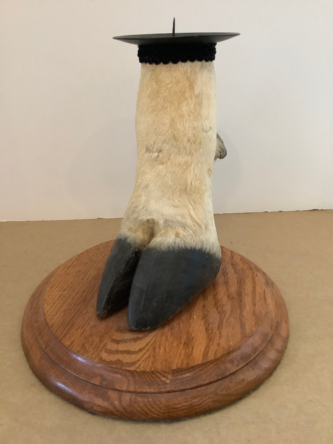 Hoof Candle Holder