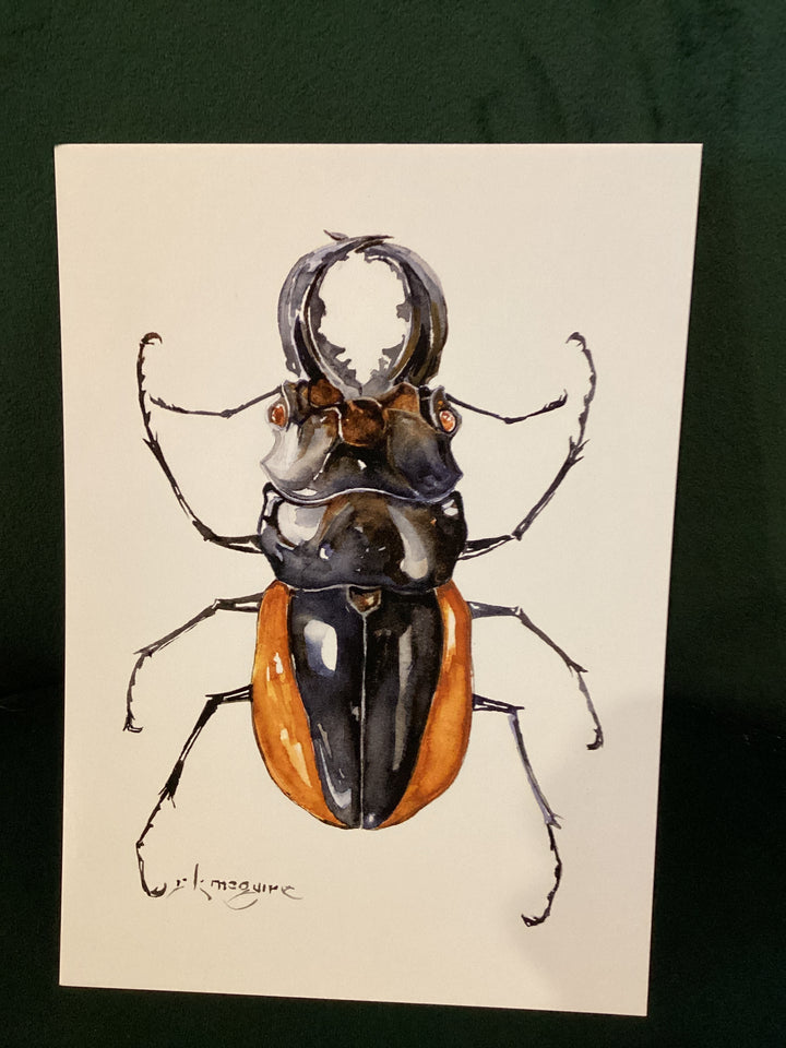 Keith McGuire Insect Prints (Small)