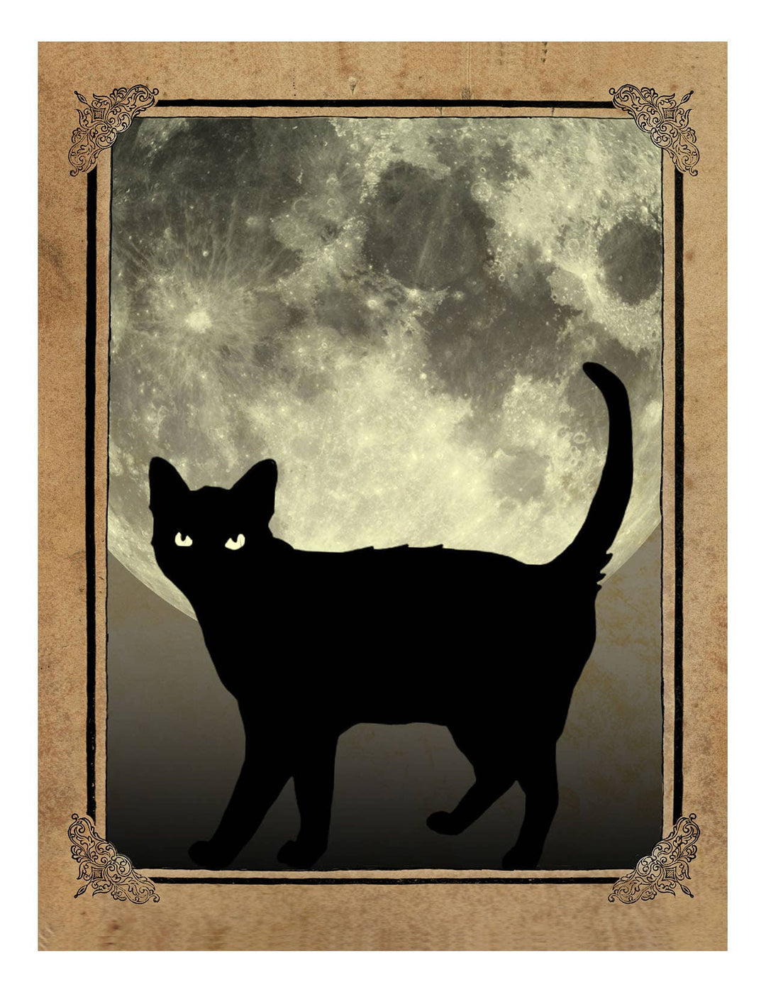 Boxed Notecard Set - Black Cats