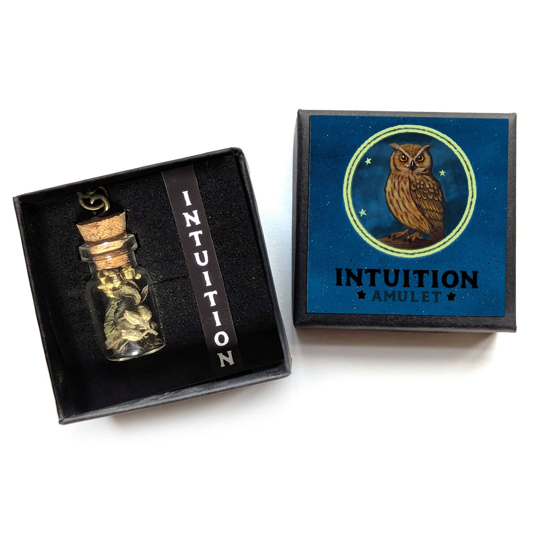Brainmeats Atelier - Intuition Amulet – Insight &amp; Clarity Talisman Necklace w/Owl