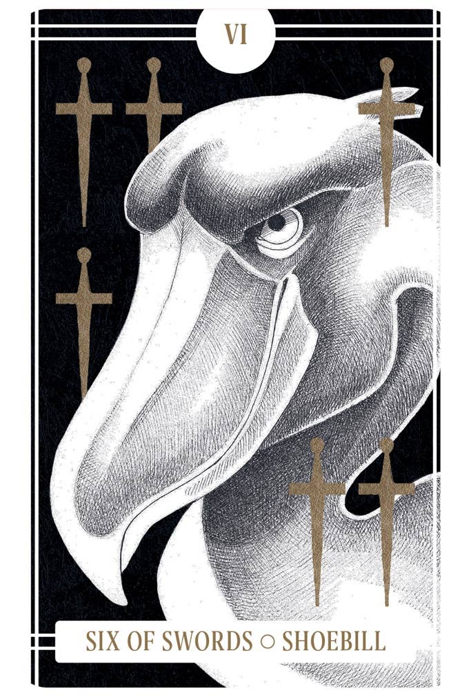 Chronicle Books - Avian Tarot