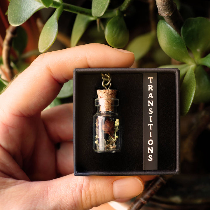 Brainmeats Atelier - Transitions Amulet – Change and Renewal Talisman w/Luna Moth