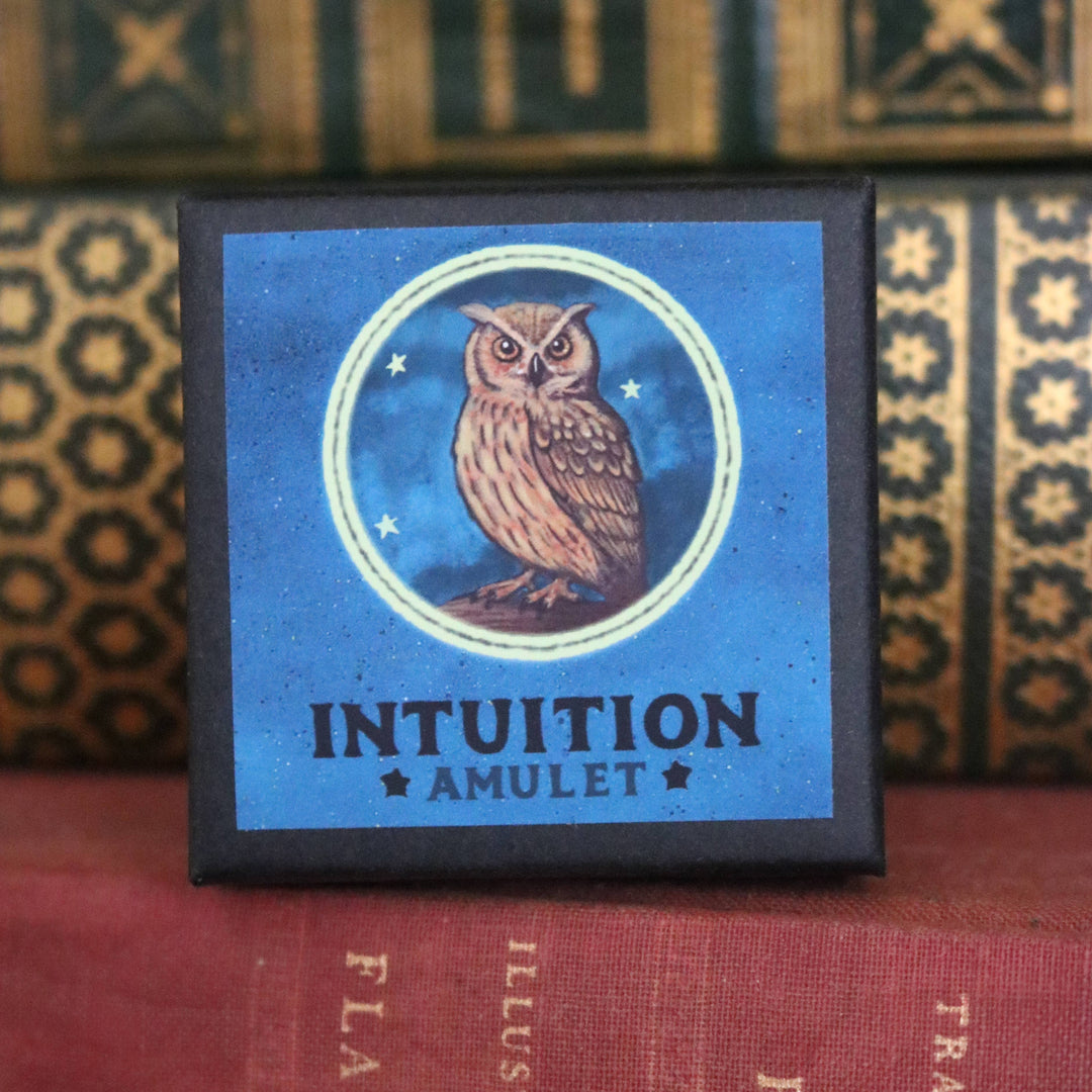 Brainmeats Atelier - Intuition Amulet – Insight &amp; Clarity Talisman Necklace w/Owl