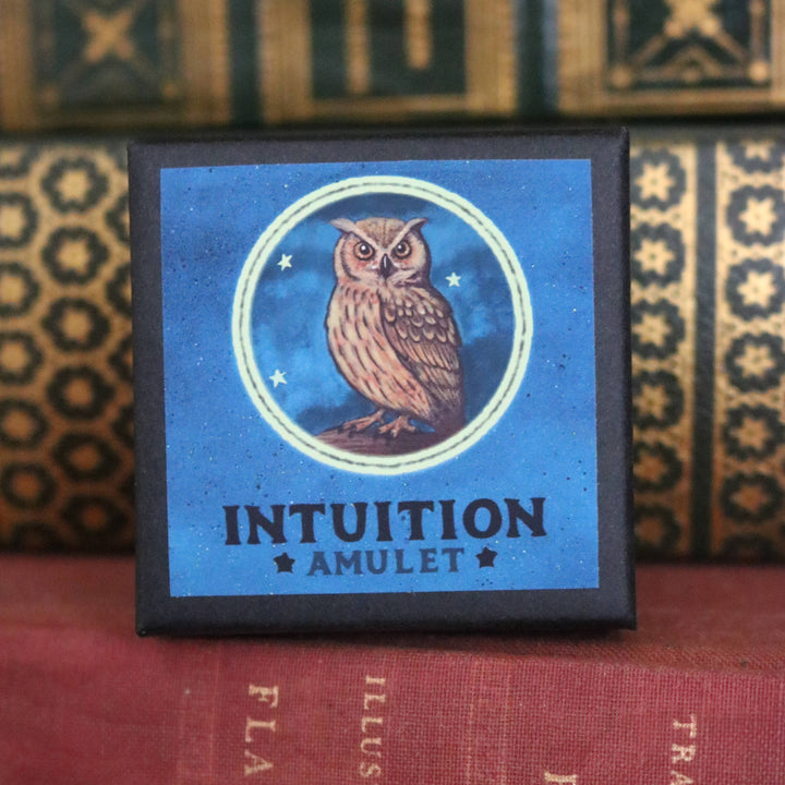 Brainmeats Atelier - Intuition Amulet – Insight &amp; Clarity Talisman Necklace w/Owl