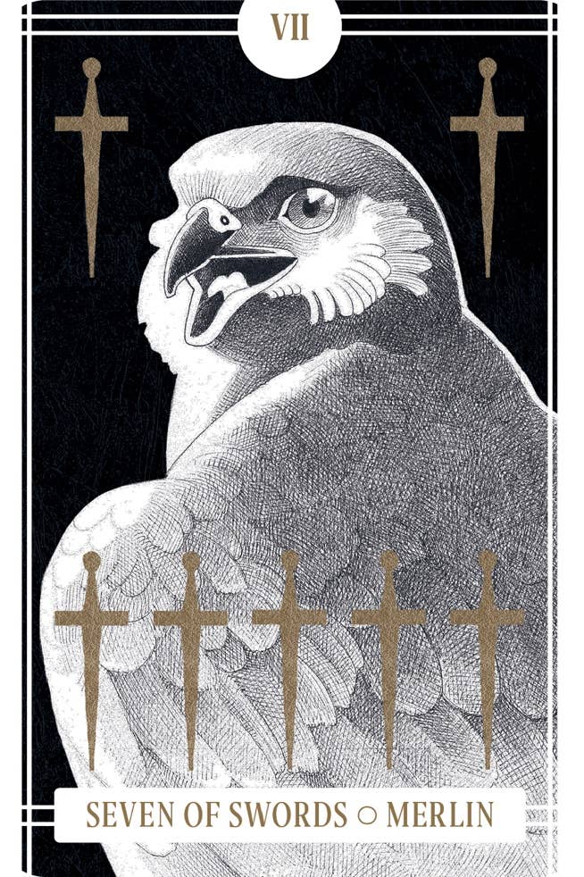 Chronicle Books - Avian Tarot