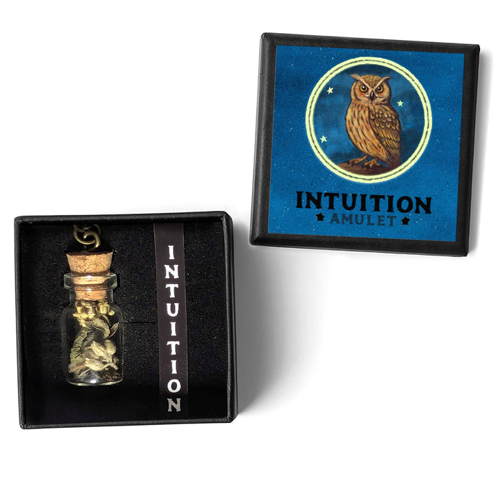 Brainmeats Atelier - Intuition Amulet – Insight &amp; Clarity Talisman Necklace w/Owl