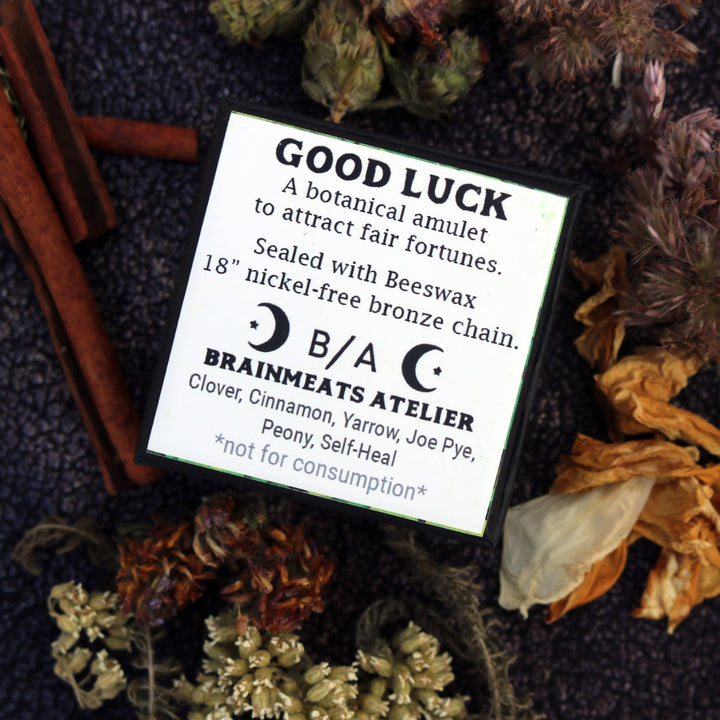 Brainmeats Atelier - Good Luck Amulet – Fortune &amp; Joy Talisman Necklace w/ Clover
