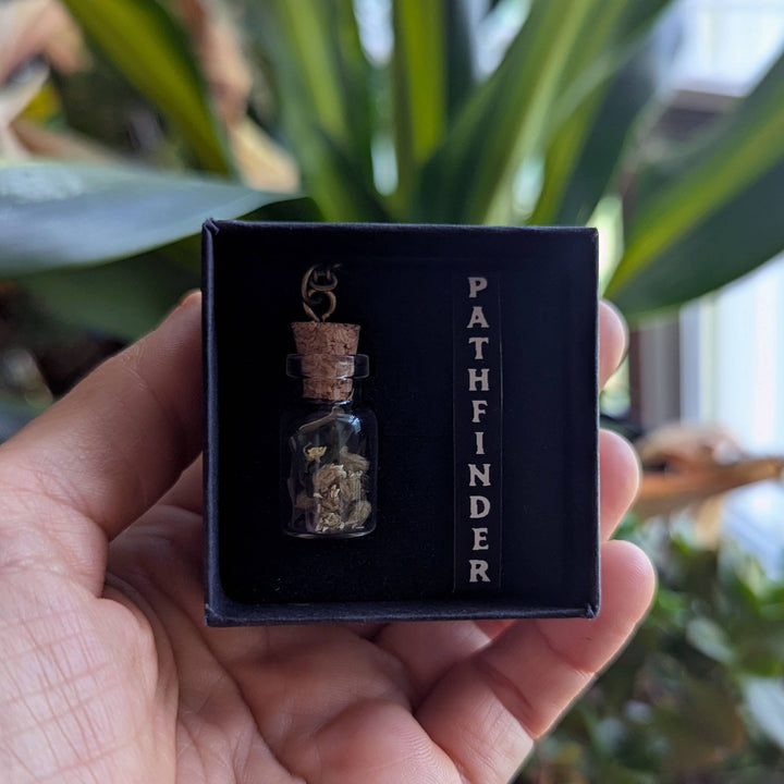 Brainmeats Atelier - Pathfinder Amulet – Talisman for Direction in Life w/Compass