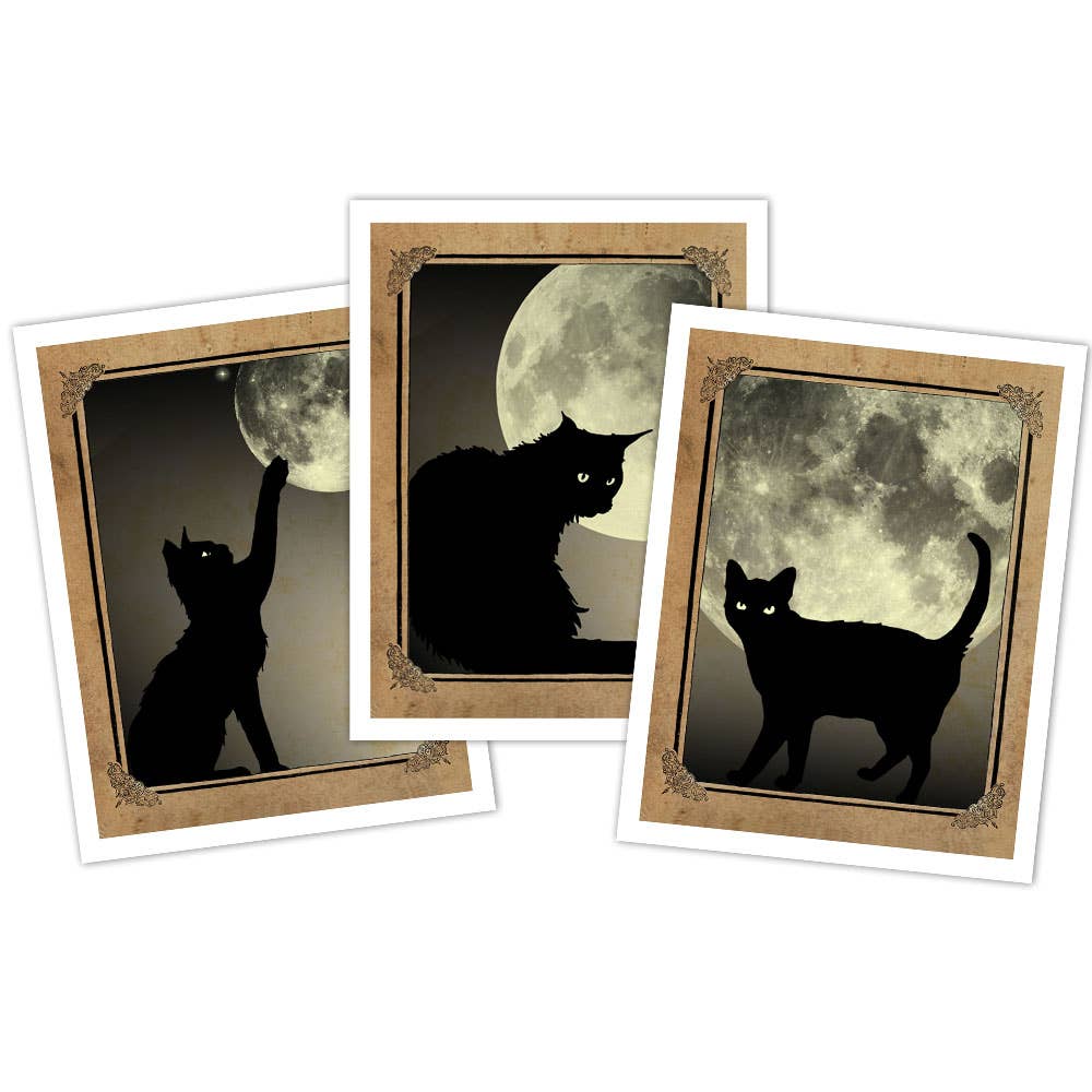 Boxed Notecard Set - Black Cats