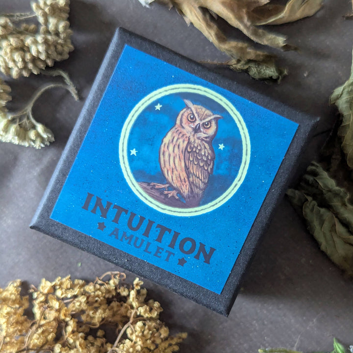 Brainmeats Atelier - Intuition Amulet – Insight &amp; Clarity Talisman Necklace w/Owl