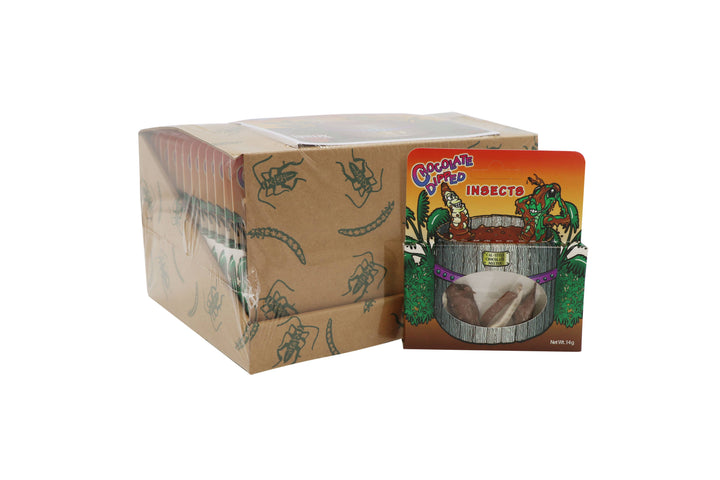 Chocolate Dipped Insects, 14g