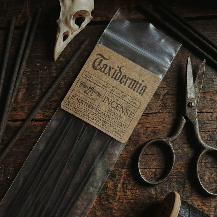 Blackthorne &amp; Co. - Incense Bestsellers Bulk Box | Wholesale Gothic Handmade