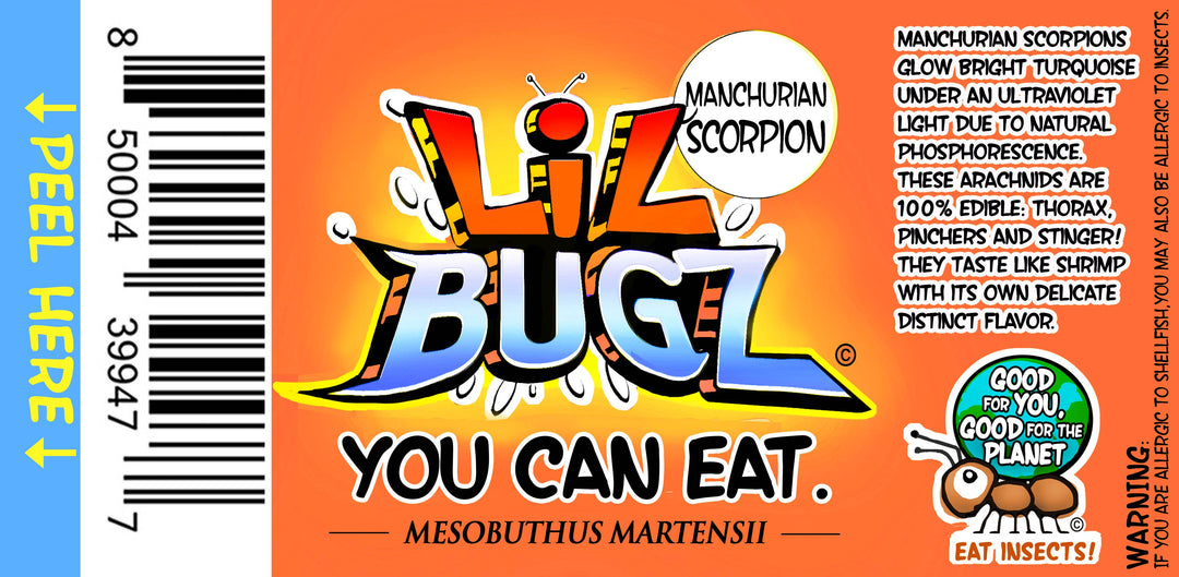 EntoLife Edible Insects - Ants
