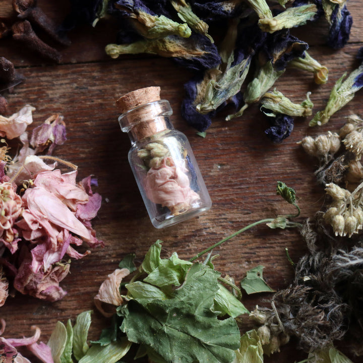 Brainmeats Atelier - Wisdom Botanical Amulet – for Knowledge and Learning w/Raven