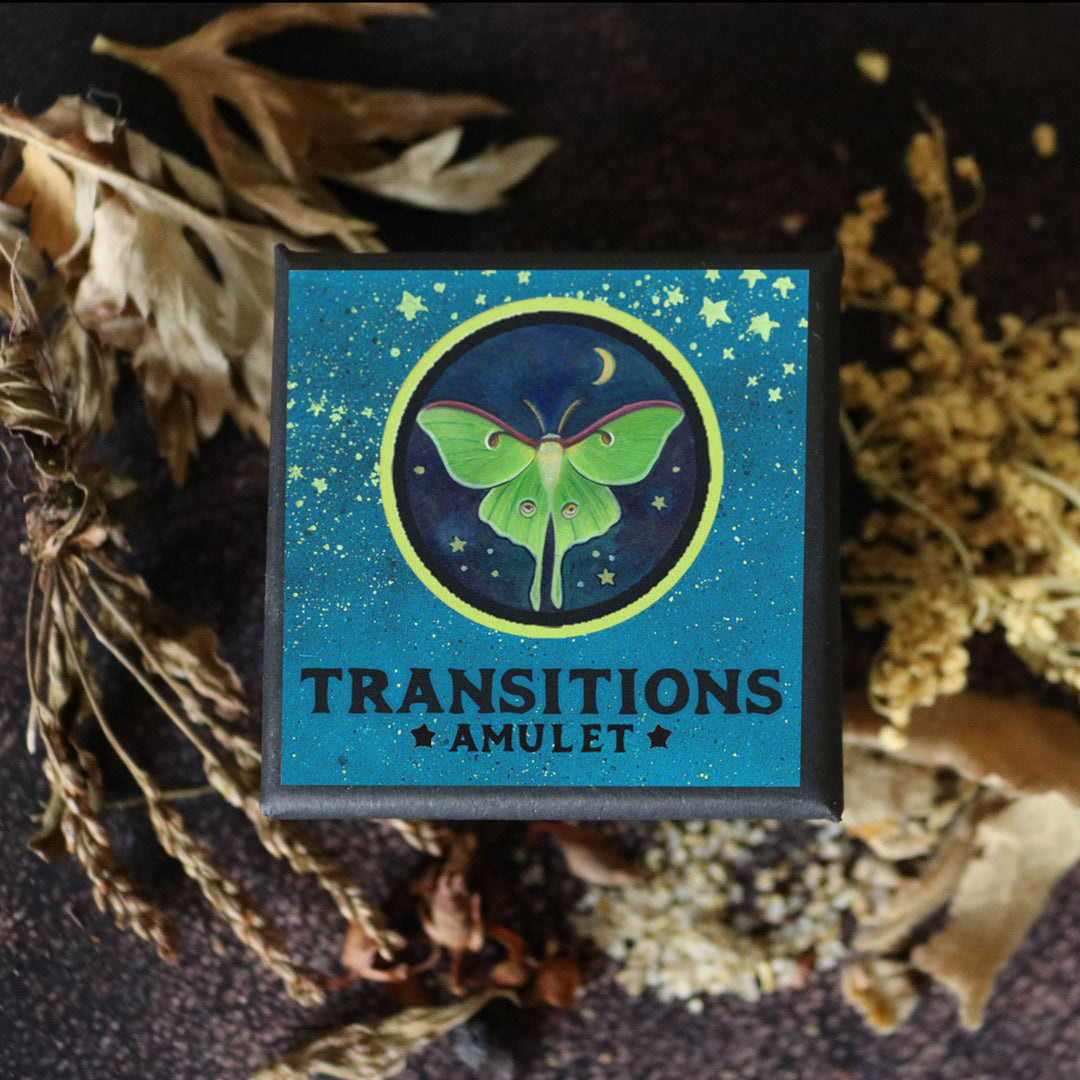Brainmeats Atelier - Transitions Amulet – Change and Renewal Talisman w/Luna Moth