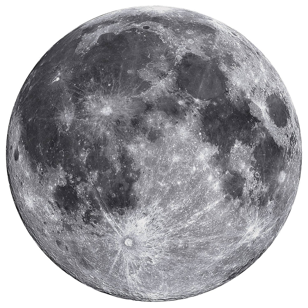 MasterPieces Puzzles - The Moon - 1000 Piece Round Puzzle