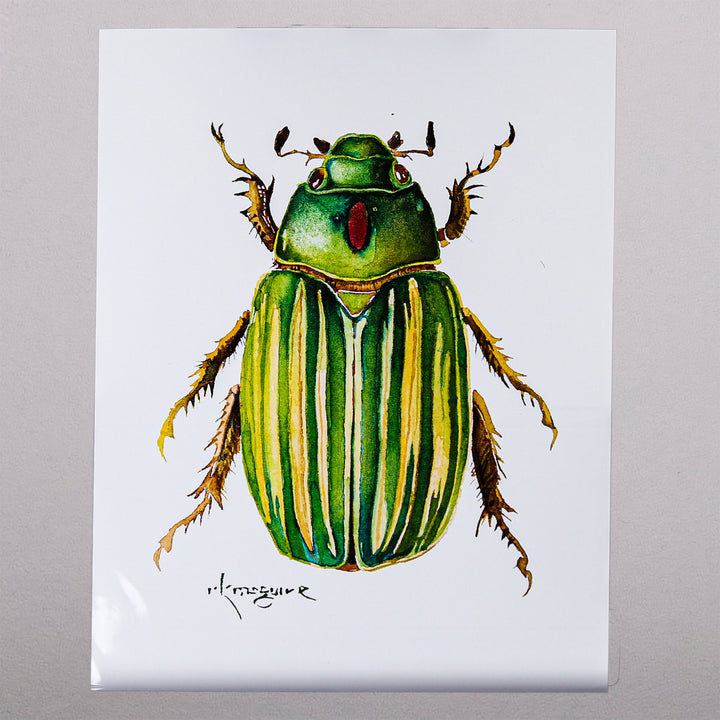 Keith McGuire Insect Prints