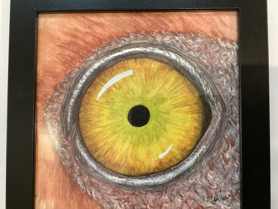 Framed Eye Print