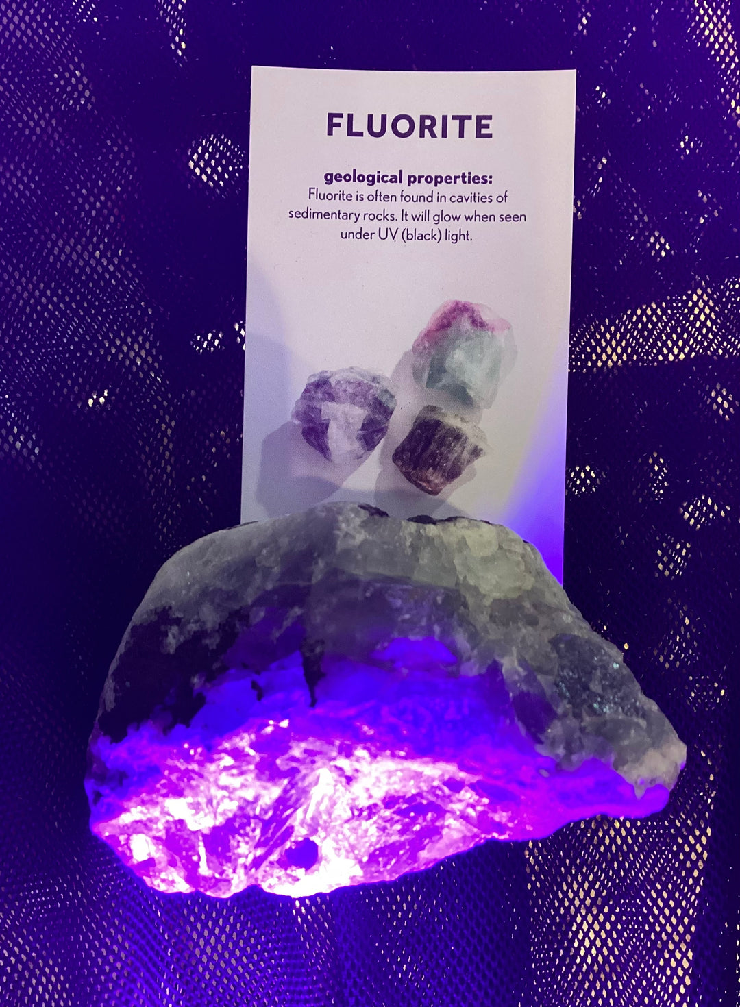 Fluorite Crystal Geode