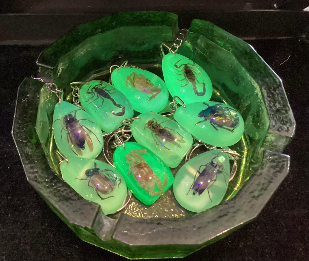 UV Glow in the Dark and Standard Epoxy Resin Bugs for Keychains, Pendants, Jewelry, and More