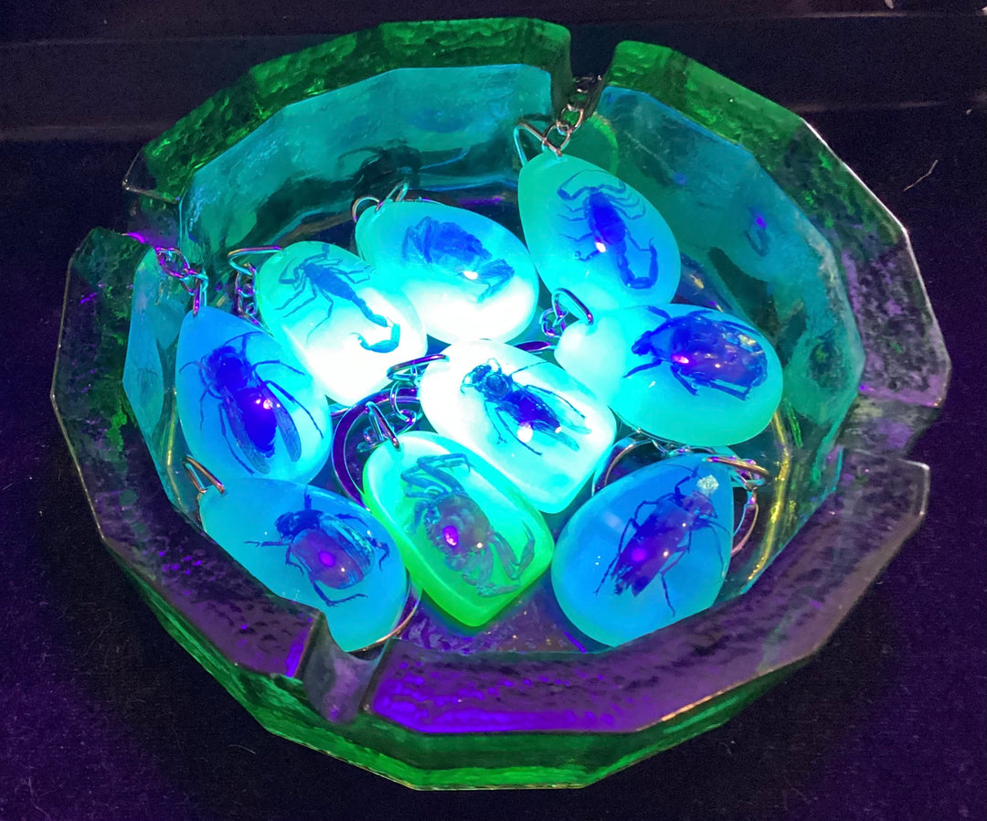 UV Glow in the Dark and Standard Epoxy Resin Bugs for Keychains, Pendants, Jewelry, and More