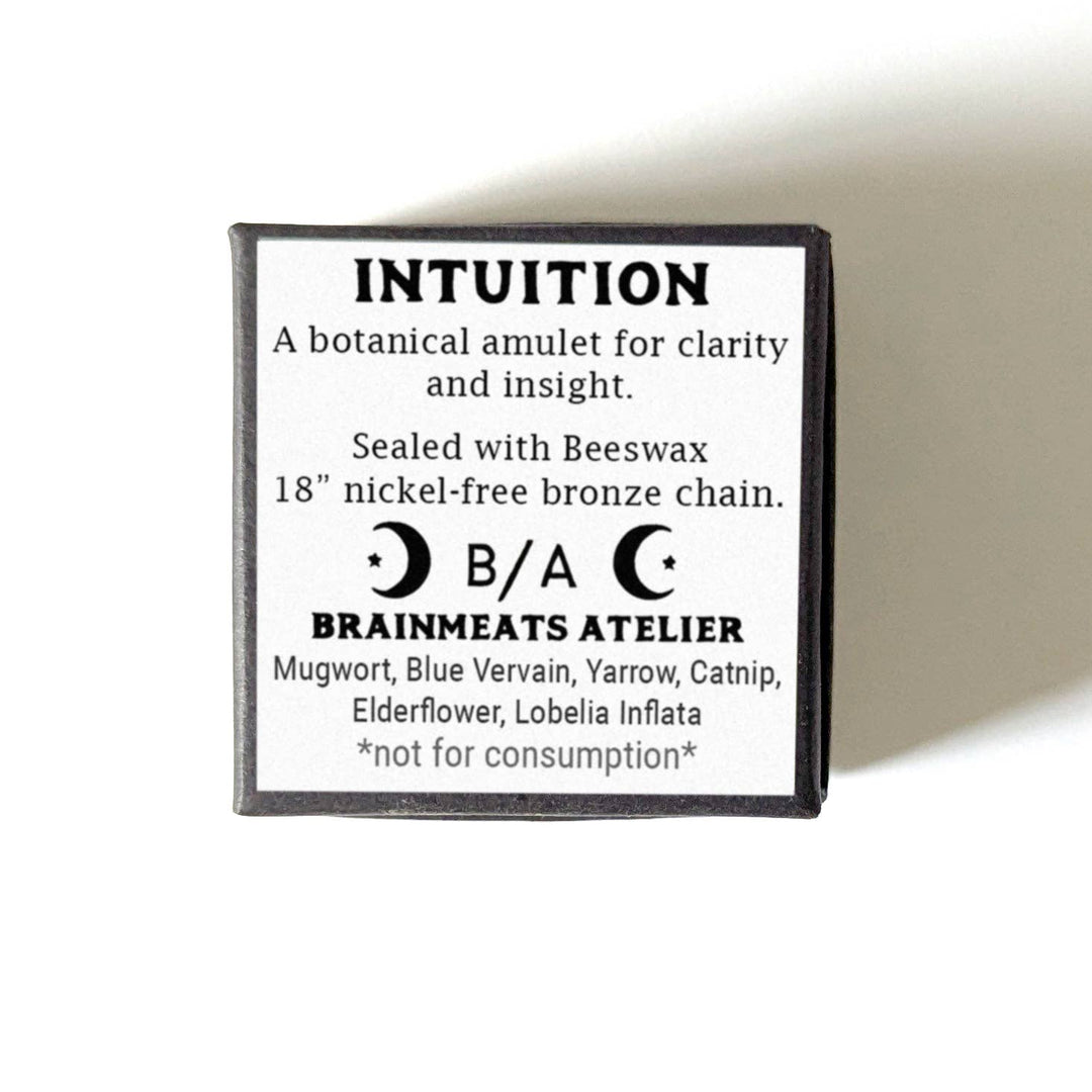 Brainmeats Atelier - Intuition Amulet – Insight &amp; Clarity Talisman Necklace w/Owl