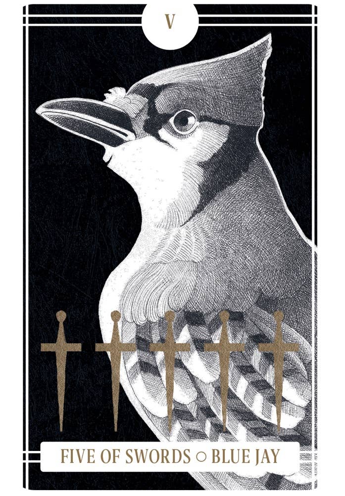 Chronicle Books - Avian Tarot