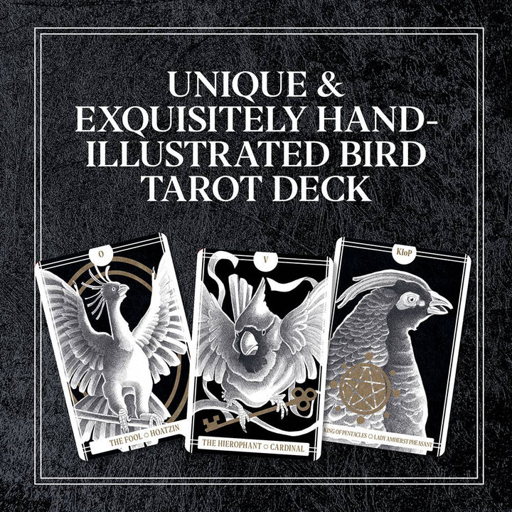 Chronicle Books - Avian Tarot