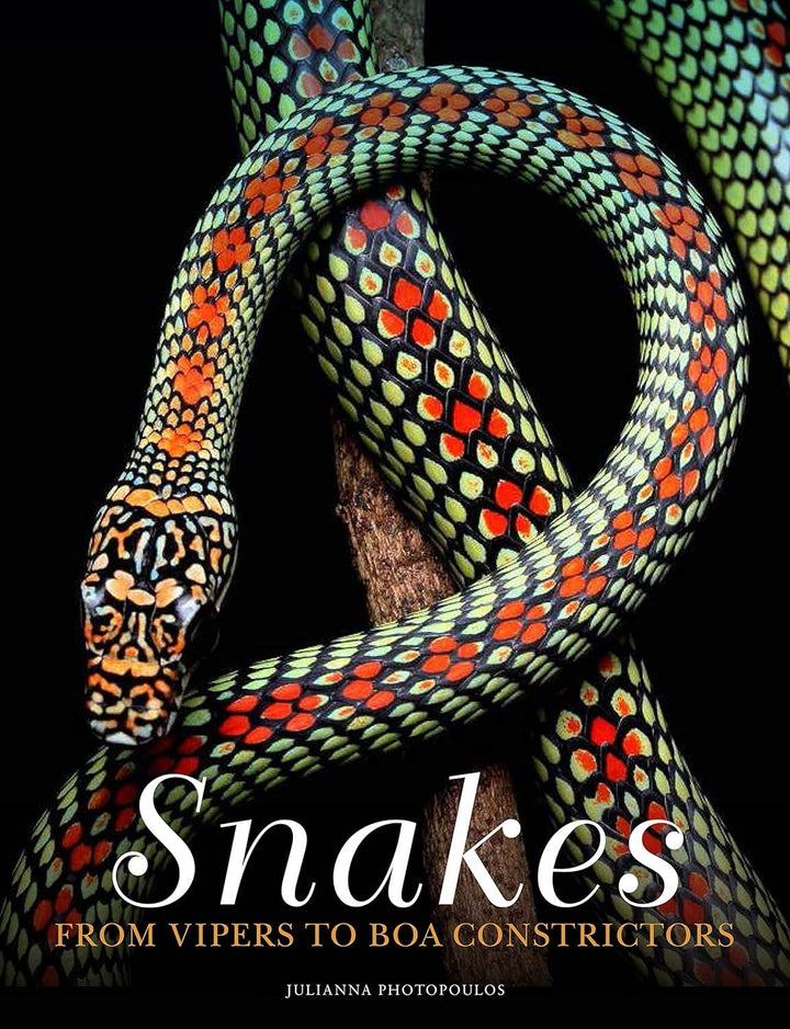 Union Square & Co. - Snakes: From Vipers to Boa Constrictors