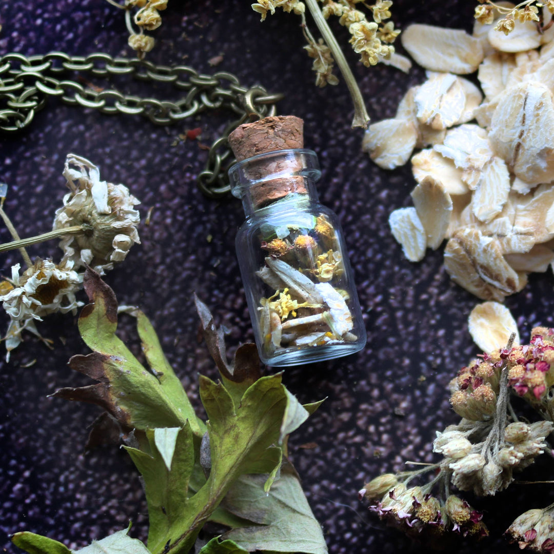 Brainmeats Atelier - Sanctuary Amulet – Protection &amp; Comfort Talisman w/Turtle