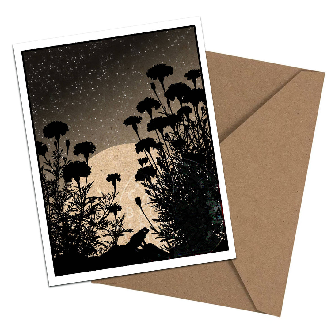Brainmeats Atelier - Twilight Garden – Boxed Moonlit Garden Notecard Set
