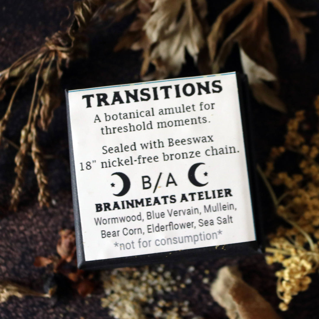 Brainmeats Atelier - Transitions Amulet – Change and Renewal Talisman w/Luna Moth