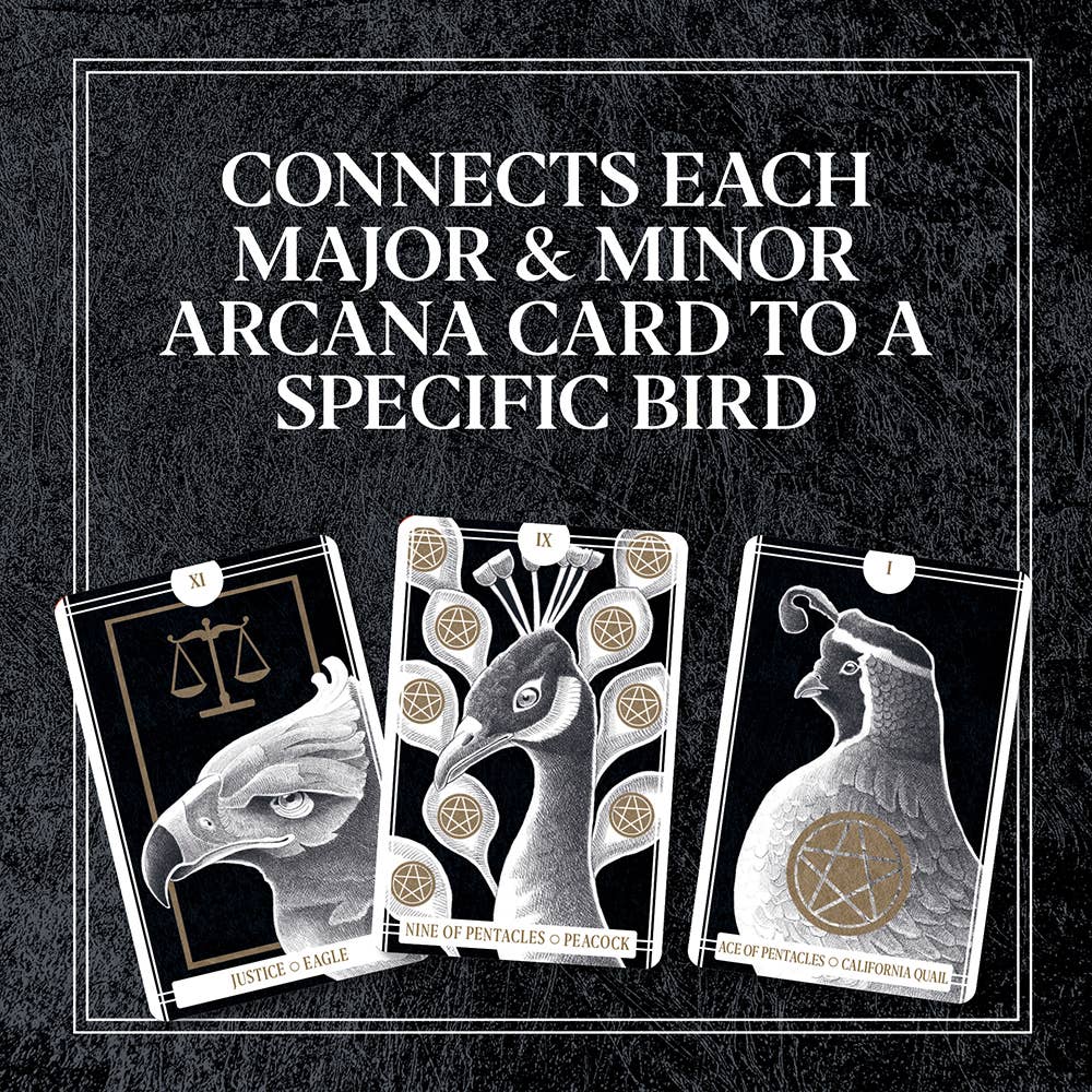 Chronicle Books - Avian Tarot