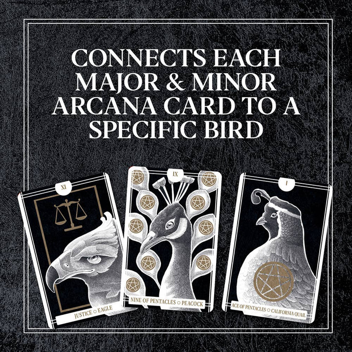 Chronicle Books - Avian Tarot