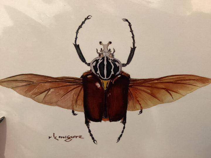 Keith McGuire Insect Prints (Small)