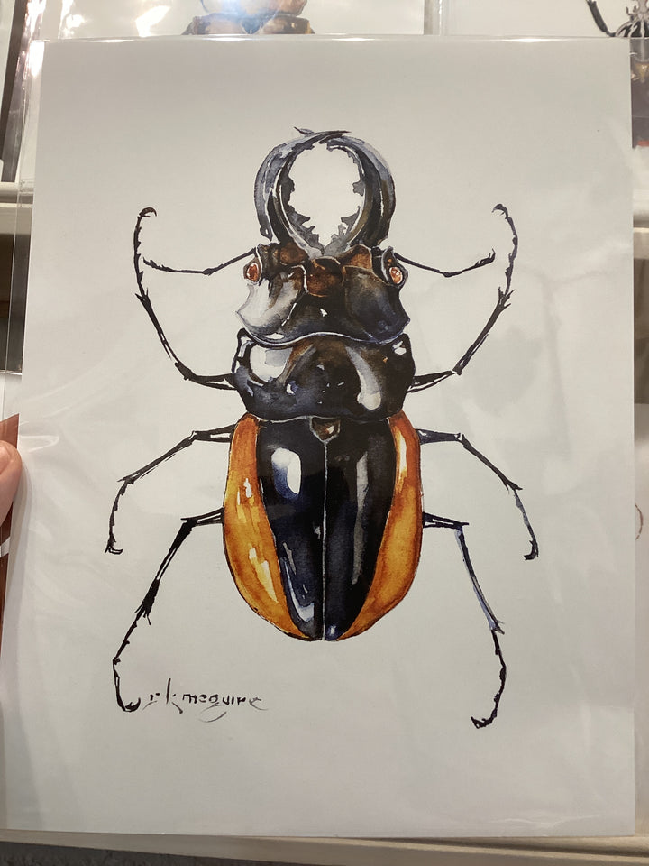 Keith McGuire Insect Prints (Large)