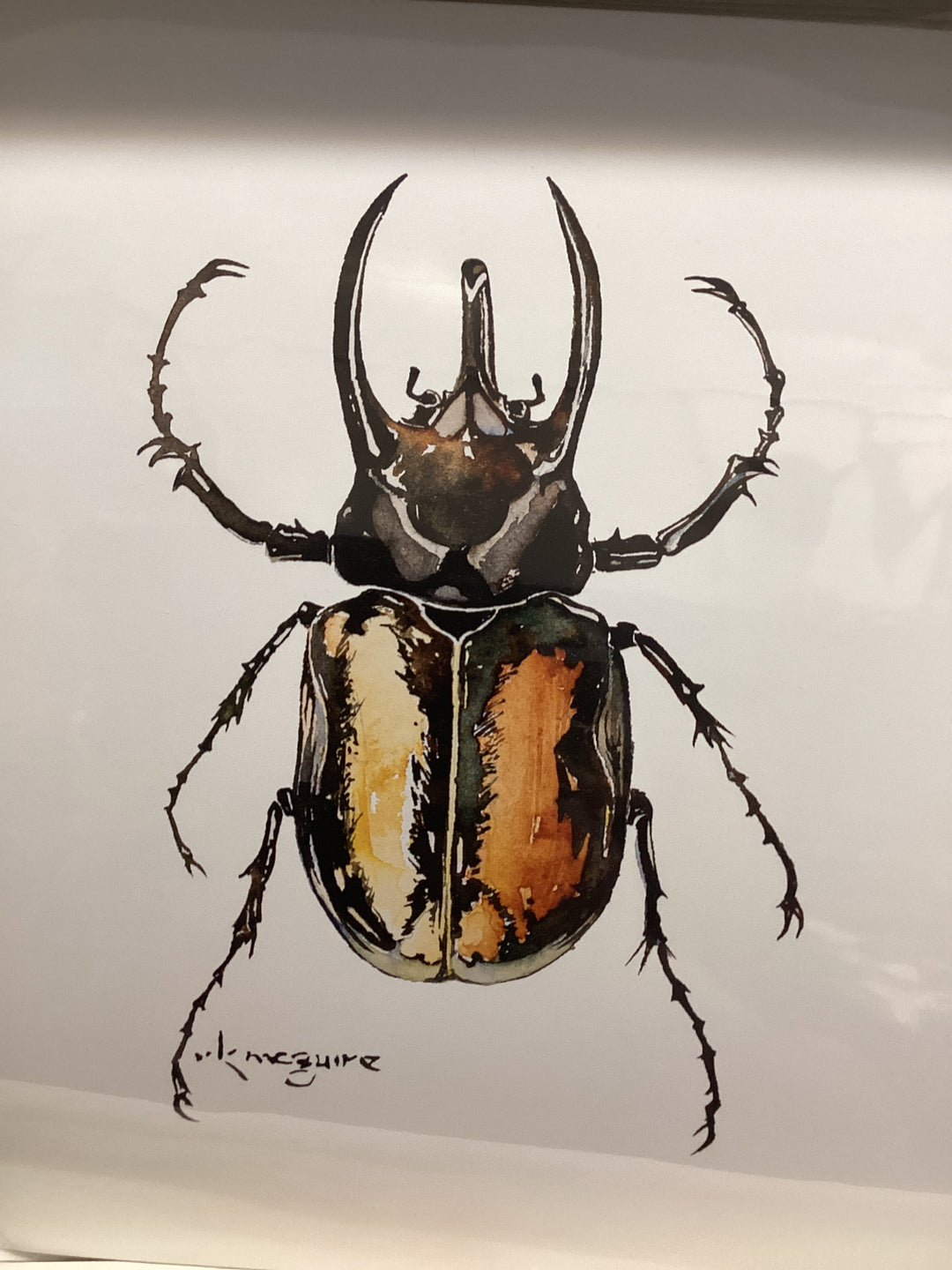 Keith McGuire Insect Prints (Large)